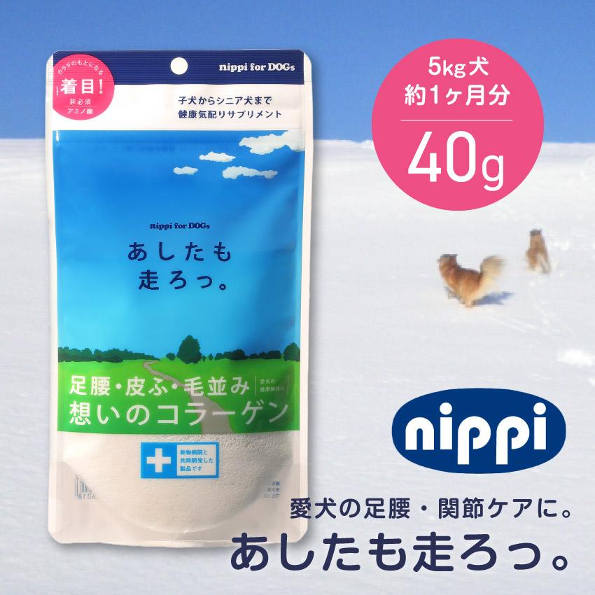 ニッピ あしたも走ろっ。 4袋