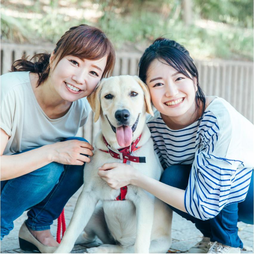 ニッピ 犬用 あしたも走ろっ。牛由来 160g : LIFE LUCK ヤフー店