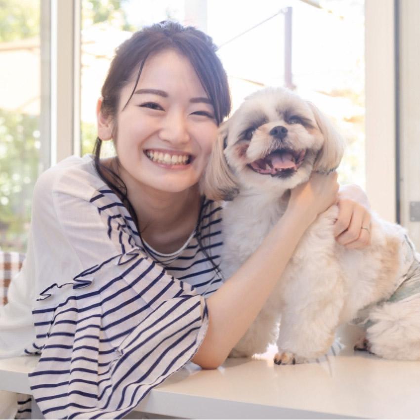 ニッピ 犬用 あしたも走ろっ。牛由来 160g : LIFE LUCK ヤフー店