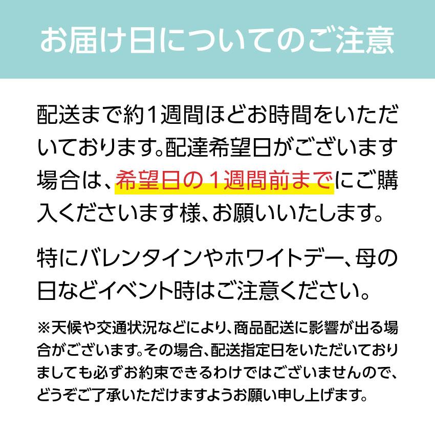 母の日 プレゼント ギフト 贈り物 銀座千疋屋 銀座フルーツタルトアイス フルーツ スイーツ タルト｜lifeluck｜08