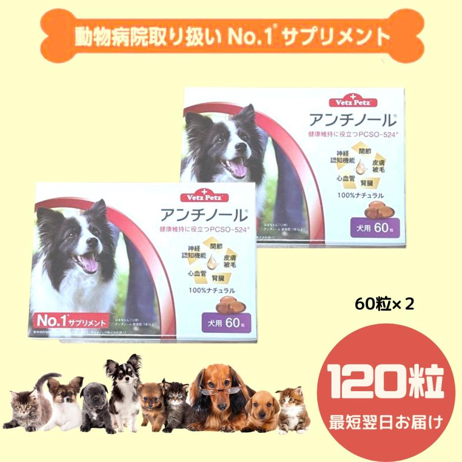 120粒】【あす楽】アンチノール 犬用サプリメント 60粒×２箱 : pet60-2