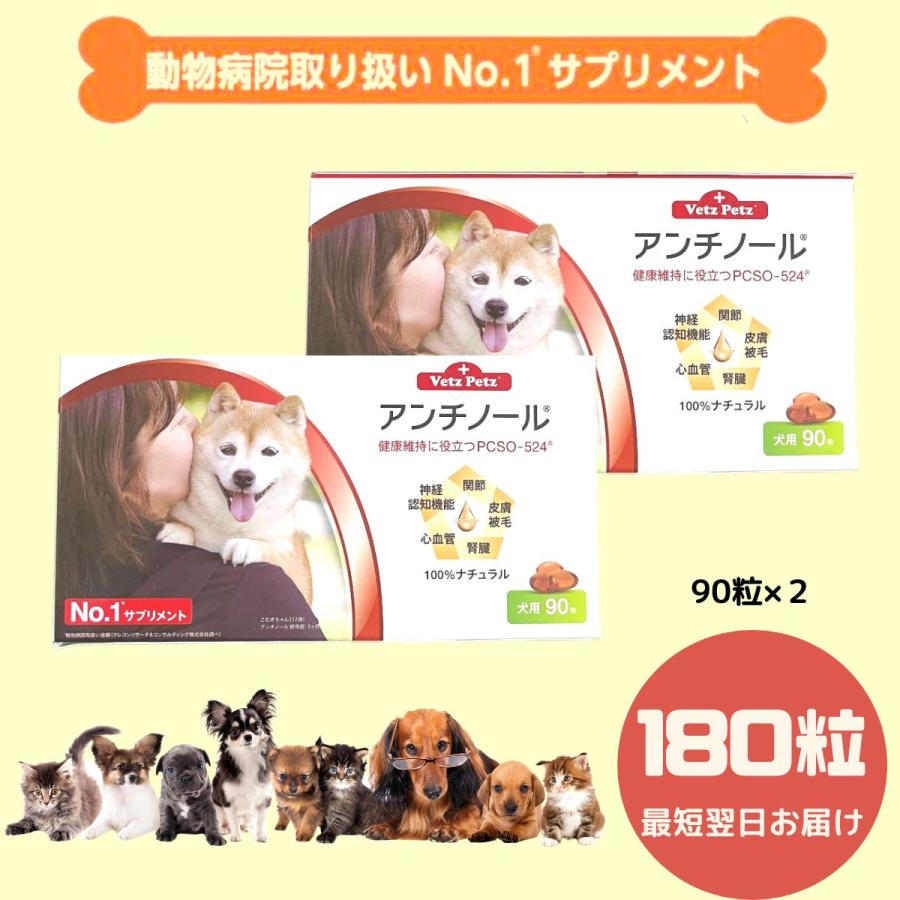 180粒】【あす楽】アンチノール 犬用サプリメント 90粒×2箱 : pet90-2 