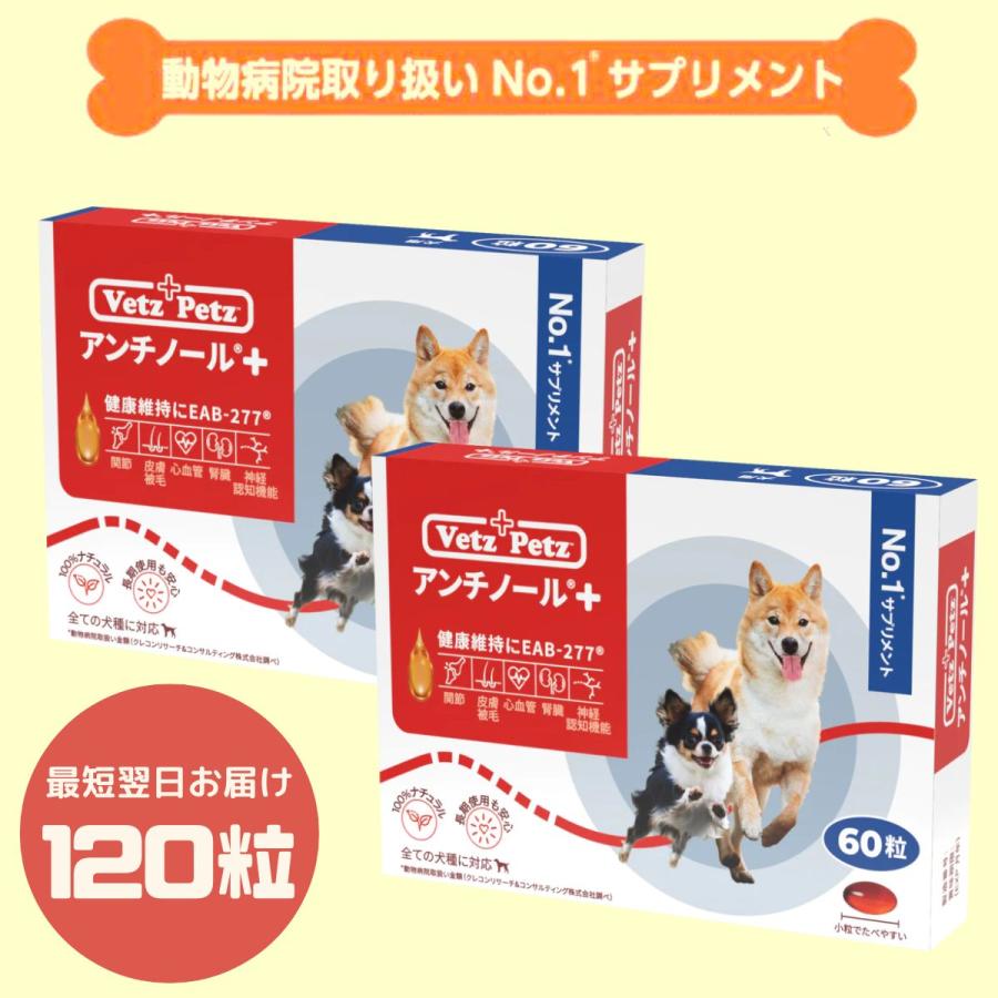 120粒】【あすつく】アンチノールプラス アンチノールplus 犬用