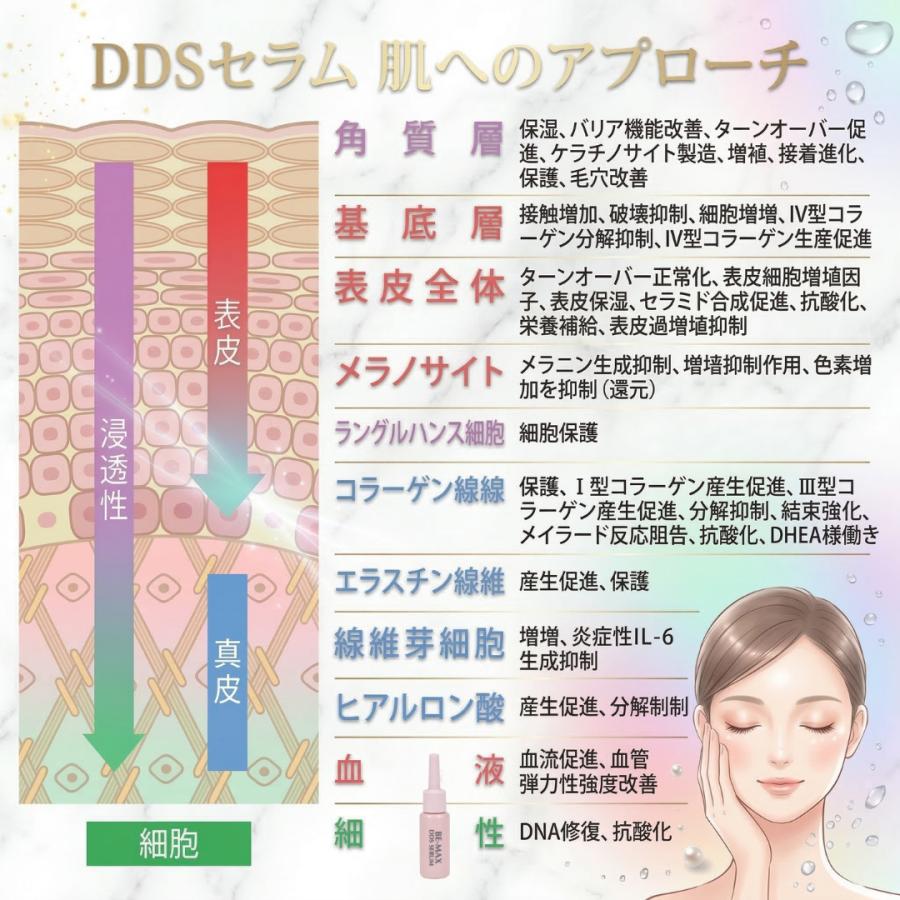 美容液 エイジングケア 集中ケア DDS SERUM ディーディーエスセラム コスメ 化粧品 ギフト 女性 正規販売店_5