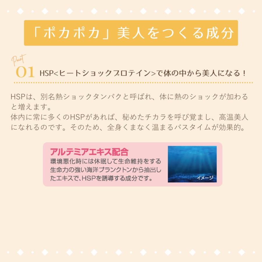 入浴剤 ニュートロックスサン配合 BE-MAX the SPA 2箱セット+1包
