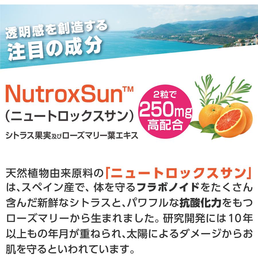 紫外線対策 メール便送料無料 飲む日傘 サプリ BE-MAX the SUN 紫外線対策 メール便送料無料 飲む日傘 サプリ BE-MAX the SUN