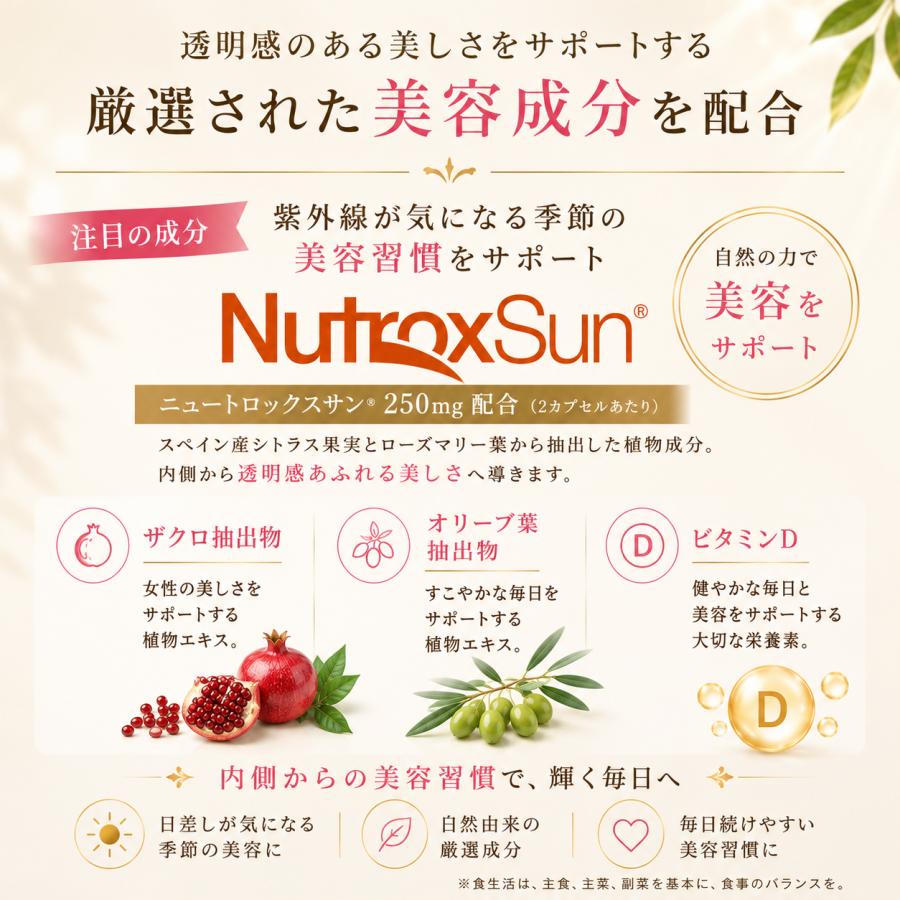 メール便送料無料 BE-MAX the SUN ビーマックス ザ サン 30カプセル
