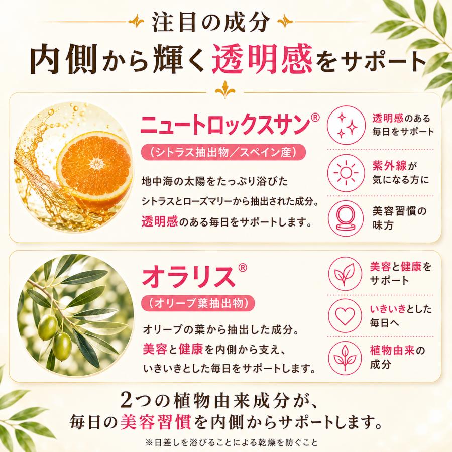 メール便送料無料 BE-MAX the SUN ビーマックス ザ サン 30カプセル