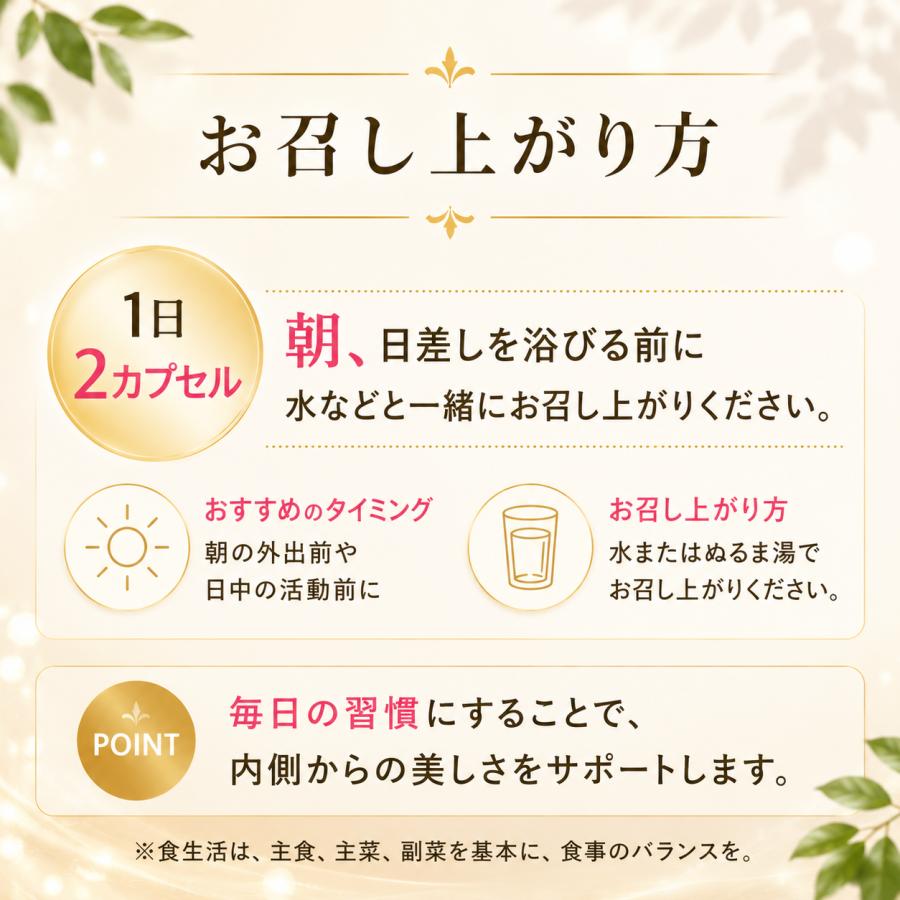 メール便送料無料 BE-MAX the SUN ビーマックス ザ サン 30カプセル