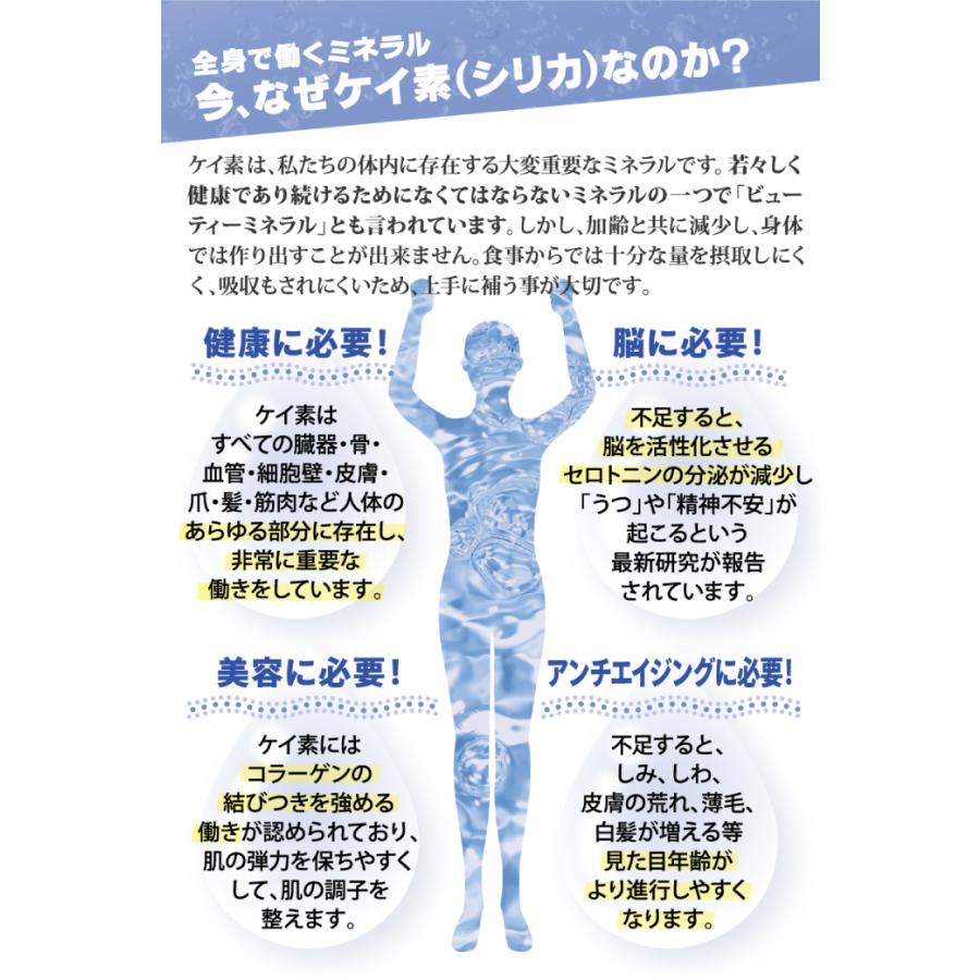 BE-MAX the SILICA Platinum+（ザ シリカ プラチナプラス）数量限定新発売 |  | 02