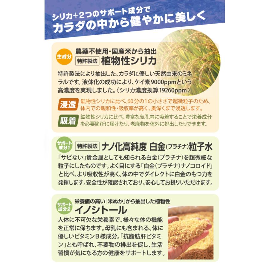 BE-MAX the SILICA Platinum+（ザ シリカ プラチナプラス）数量限定新発売 |  | 03