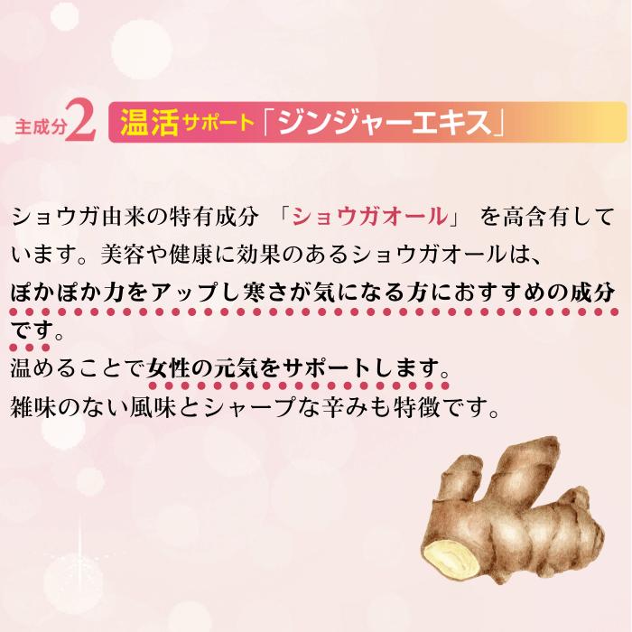 BE-MAX Ginger-Emi Jelly（ビーマックス ジンジャー エミ ゼリー）20包入  冷えめぐりにアプローチ 美巡り温活サポートゼリー |  | 03