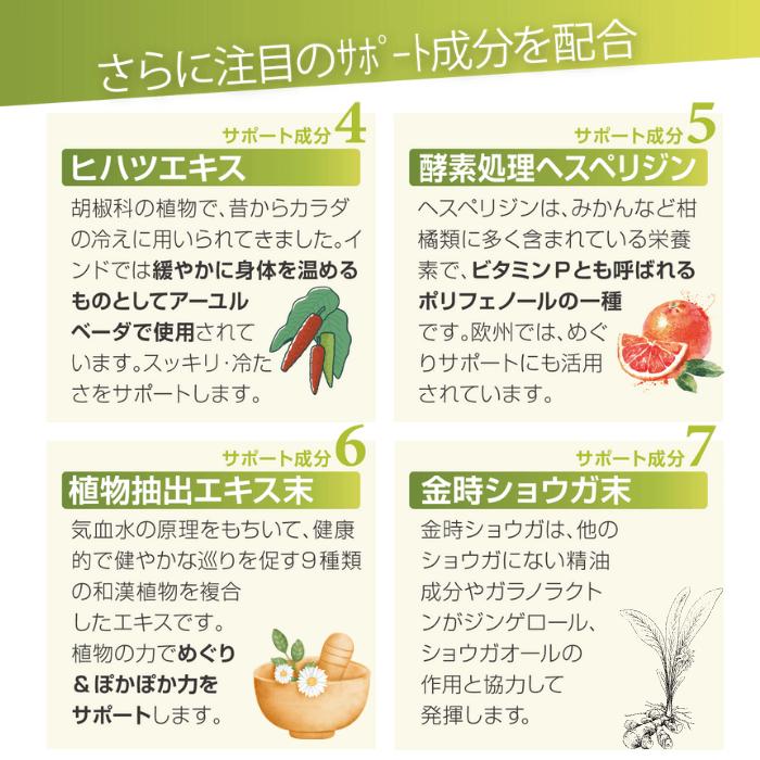 BE-MAX Ginger-Emi Jelly（ビーマックス ジンジャー エミ ゼリー）20包入  冷えめぐりにアプローチ 美巡り温活サポートゼリー |  | 05