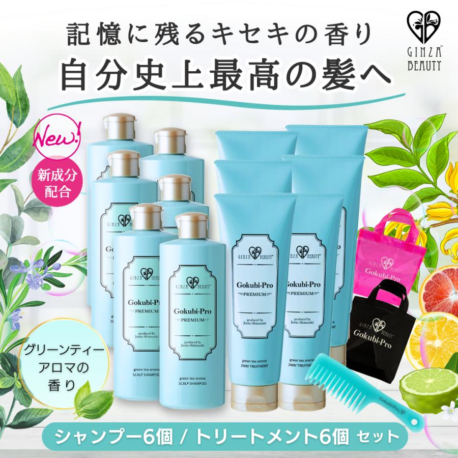シャンプー トリートメント ゴクビプロ グリーンティーアロマ シャンプー＆トリートメント６個セットで１５％OFF 送料無料 コーム、SPAバックプレゼント！