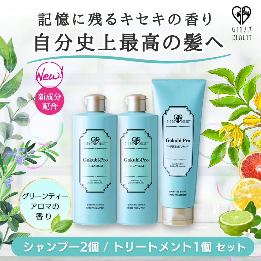 PREMIUMシャンプー&トリートメント ゴクビプロ スカルプケアセット 10%OFF (トリートメント1個＆シャンプー2個)つや髪 うるつや髪 アロマの香り 送料無料 | 