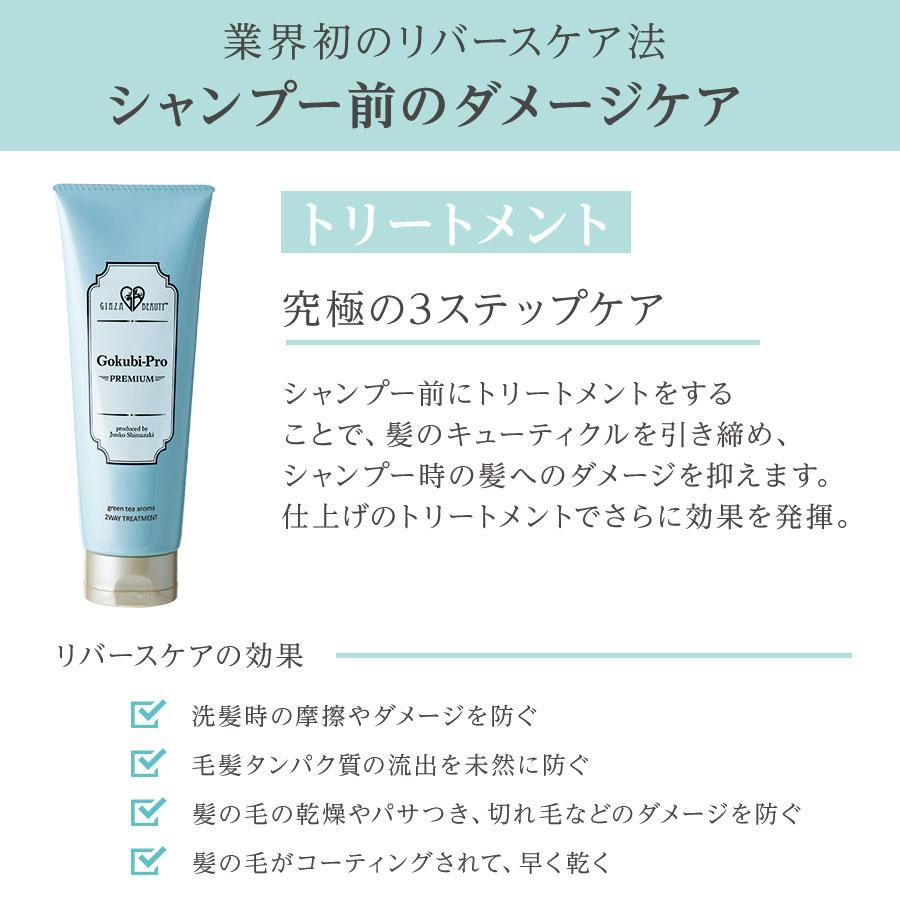 30％OFF★ゴクビプロ PREMIUM スペシャルケアセット！シャンプー＆トリートメント＆スカルプローション+オリジナルコームプレゼント |  | 13