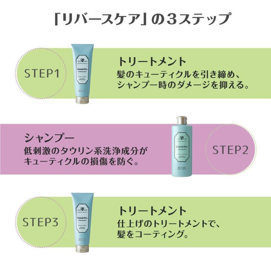 30％OFF★ゴクビプロ PREMIUM スペシャルケアセット！シャンプー＆トリートメント＆スカルプローション+オリジナルコームプレゼント |  | 04