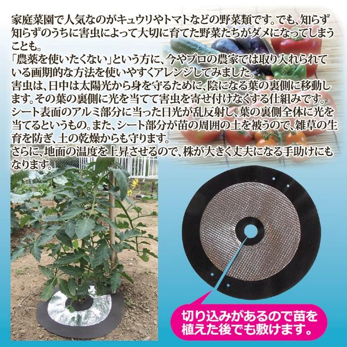 苗 虫よけ 家庭菜園 簡単 防虫 害虫対策 虫除け シート 6枚セット ガーデニング 便利 土の乾燥を防ぐ しきわらいらず Go192 Lifeone Yahoo 店 通販 Yahoo ショッピング