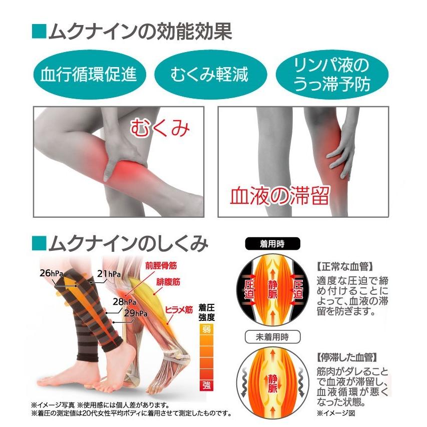脚のむくみ 対策 一般医療機器サポーター 脚すっきりムクナイン 日本製 足 浮腫み ふくらはぎ 疲れ 立ち仕事 むくみ軽減 抗菌 防臭 送料無料 Sa1 Lifeone Yahoo 店 通販 Yahoo ショッピング