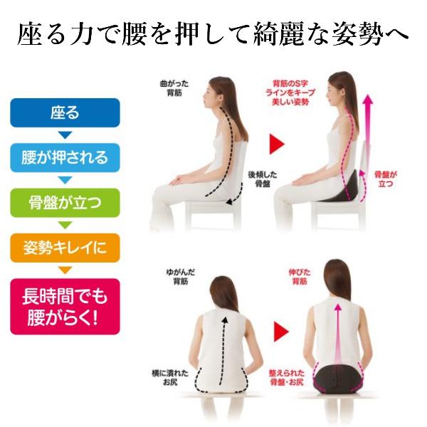 骨盤 クッション 座椅子 美姿勢 長時間 デスクワーク 腰痛 腰らく 楽