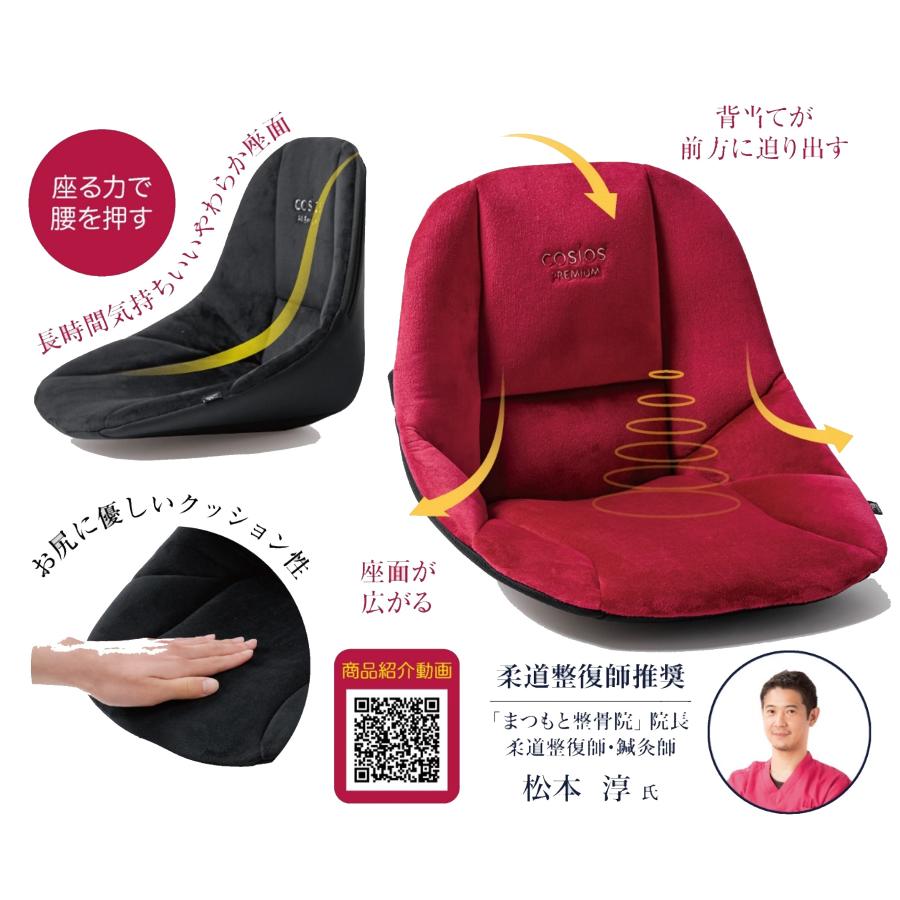 骨盤 姿勢 クッション 座椅子 cosios プレミアム コシオス 美姿勢 長