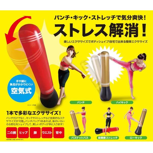 パンチバッグ サンドバッグ お家 自宅 エクササイズ エアーポンプ付き ストレス解消パンチバッグ パンチ キック