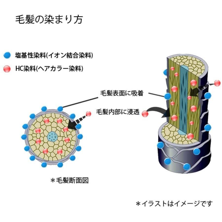カラートリートメントexat Botanicoat ボタニコート Home ハーバル ディープブラウン 150ml Lifeplusヤフー店 白髪染め ハーバル 白髪染め