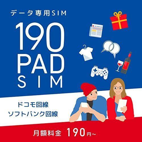 美しい 公式ストア 日本通信 b-mobile S 190PadSIM 申込パッケージ BM-PS2-P kato-souken.jp kato-souken.jp