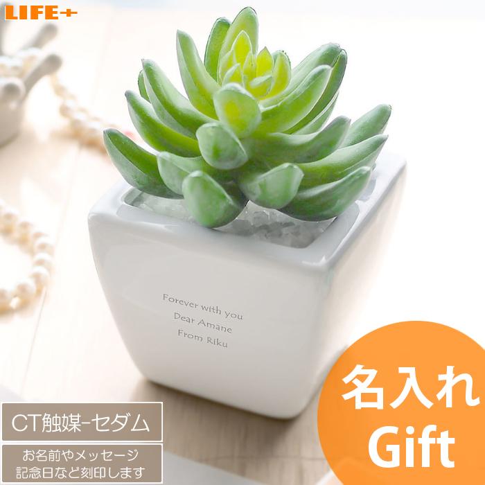 名入れ ギフト プレゼント カワイイ 新築祝い かわいい 開店祝い おしゃれ 記念品 美容室 結婚祝い 贈り物 友達 周年祝い 店名入り CT触媒グリーン セダム | 