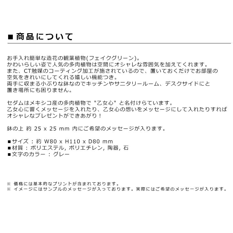 名入れ ギフト プレゼント カワイイ 新築祝い かわいい 開店祝い おしゃれ 記念品 美容室 結婚祝い 贈り物 友達 周年祝い 店名入り CT触媒グリーン セダム |  | 06