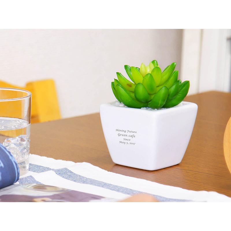 名入れ ギフト プレゼント カワイイ 新築祝い かわいい 開店祝い おしゃれ 記念品 美容室 結婚祝い 贈り物 友達 周年祝い 店名入り CT触媒グリーン セダム |  | 01