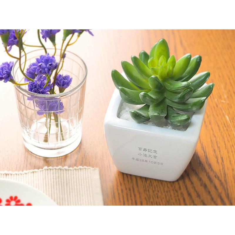 名入れ ギフト プレゼント カワイイ 新築祝い かわいい 開店祝い おしゃれ 記念品 美容室 結婚祝い 贈り物 友達 周年祝い 店名入り CT触媒グリーン セダム |  | 02