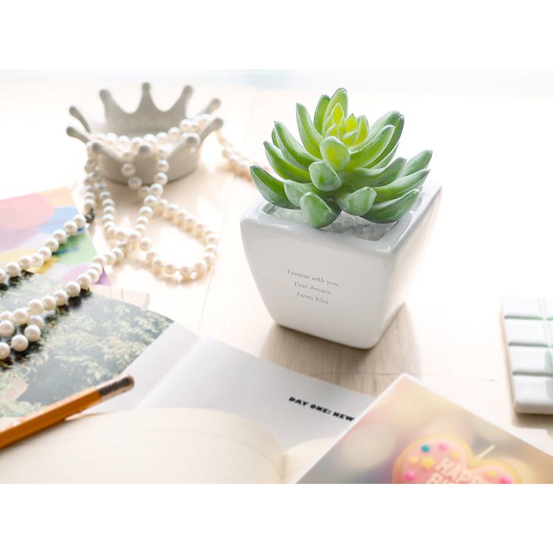 名入れ ギフト プレゼント カワイイ 新築祝い かわいい 開店祝い おしゃれ 記念品 美容室 結婚祝い 贈り物 友達 周年祝い 店名入り CT触媒グリーン セダム |  | 03