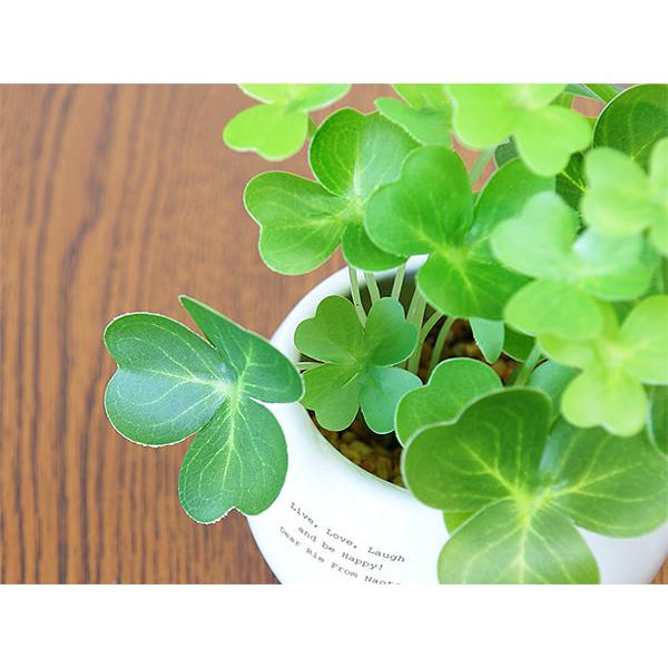 かわいい 結婚祝い おしゃれ 開店祝い CT触媒 クローバー 四つ葉 新築