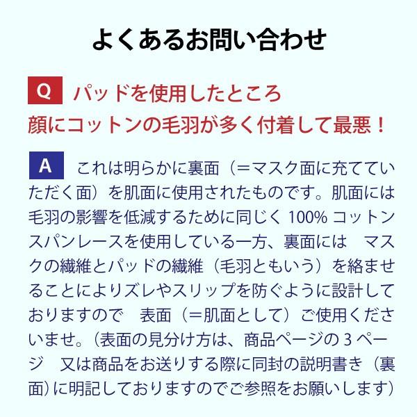 マスク用インナーパッド Mask Plus+クール 90枚入 冷感 吸湿冷感機能