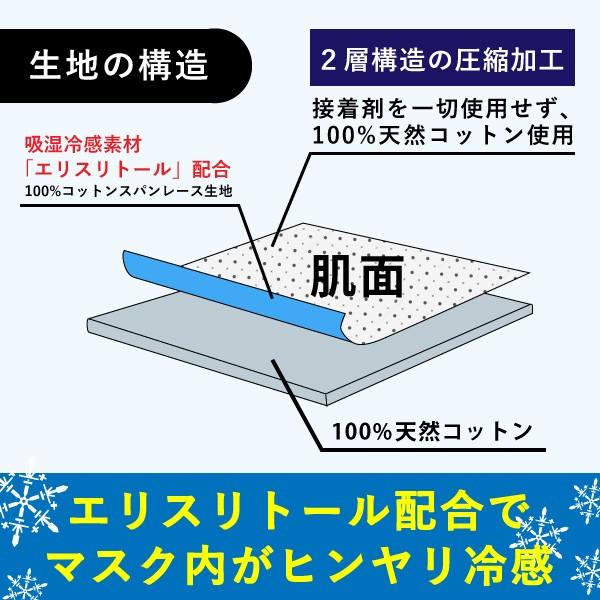 マスク用インナーパッド Mask Plus+クール 90枚入 冷感 吸湿冷感機能