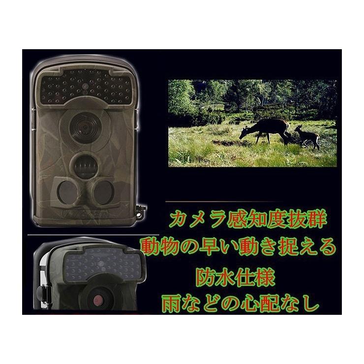 Expectation ゴミ不法投棄監視 野生動物観察 トレイルカメラ 44個暗視led付 Ltl 5310 暗視効果抜群 視led使用 野生動物調査 カメラ Ltl5310 人気定番 Farmerscentre Com Ng