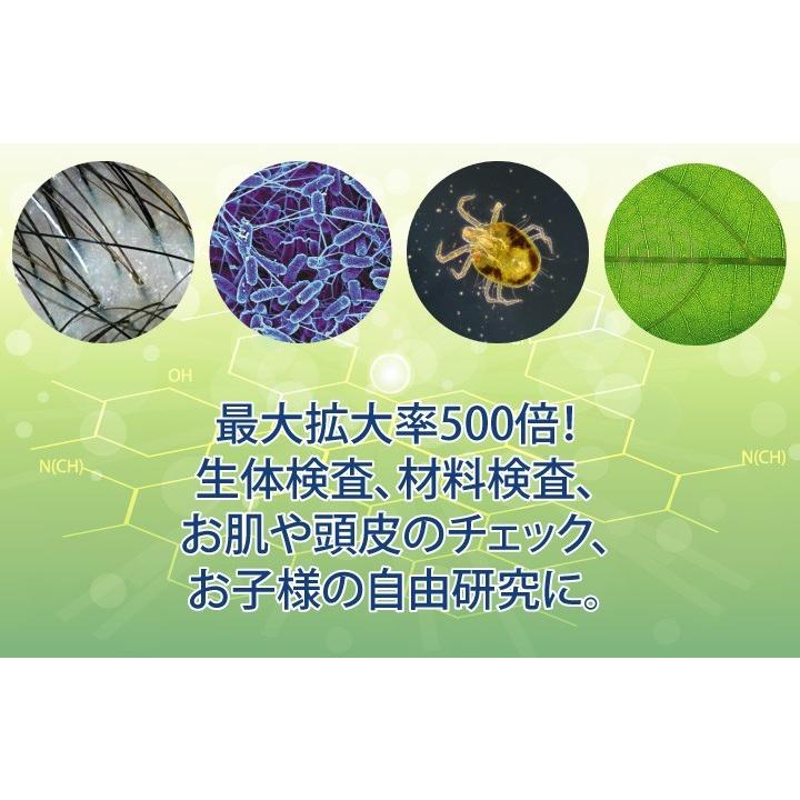 デジタルマイクロスコープ 最大拡大率500倍 生体、印刷物、材料などの