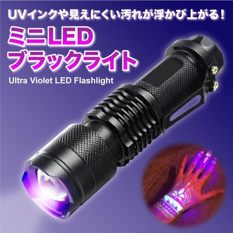 365nm UVライト 紫外線ライト アニサキスライト 真贋鑑定 猫の 365nm UVライト 紫外線ライト アニサキスライト 真贋鑑定 猫の