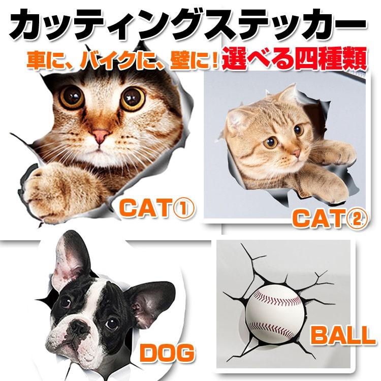 3d感のカーステッカー カッティングステッカー ウォールステッカー インテリアシール トリックアート だまし絵 飛び出す はがせる 車 バイク 壁 Lp 3dcat1521 Lp ライフパワーショップ 通販 Yahoo ショッピング