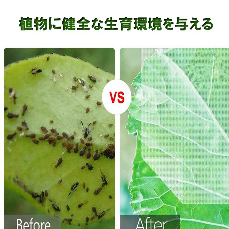 防虫ネット 植物保護カバー 園芸用ネット 防虫袋 虫鳥除け網 防虫ネット 植物保護カバー 園芸用ネット 防虫袋 虫鳥除け網