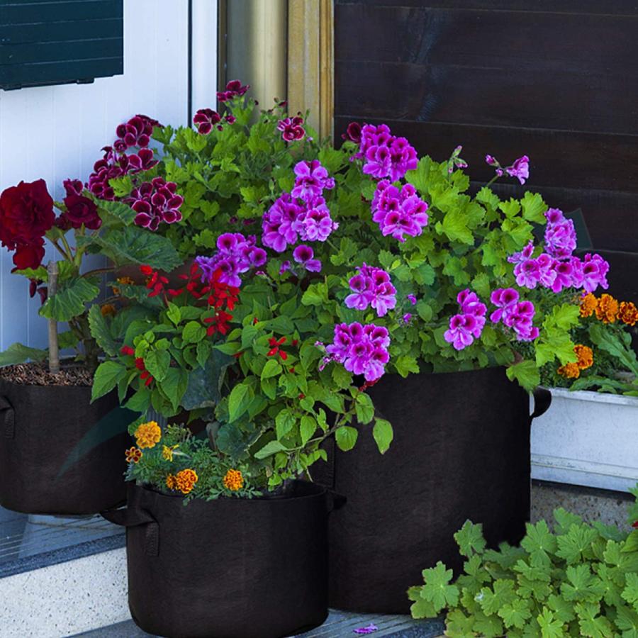 ☆不織布プランター 7ガロン 10ガロン10枚入 植木鉢 寄せ植え 不織布プランター 7ガロン 10個 不織布ポット 12号 35x28 植木鉢