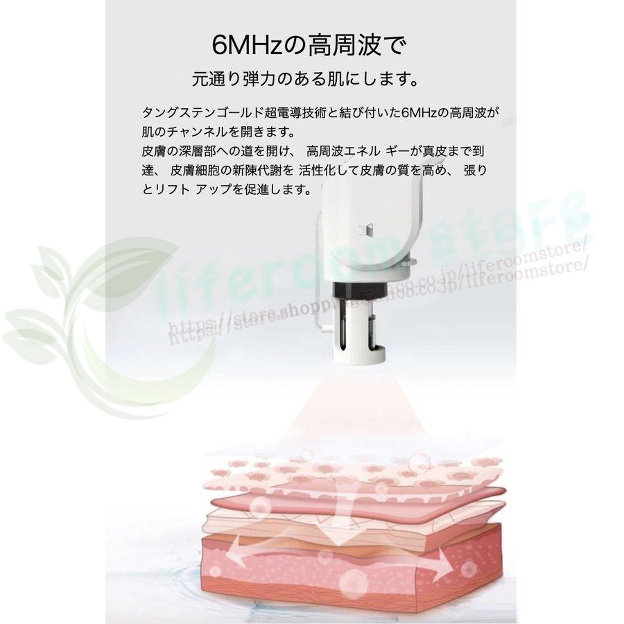 【超美品】 メソセラピーガン メソガン MTSメソガン マイクロニードルセラピーシステム（MTS） 【2219041929】(11900円)