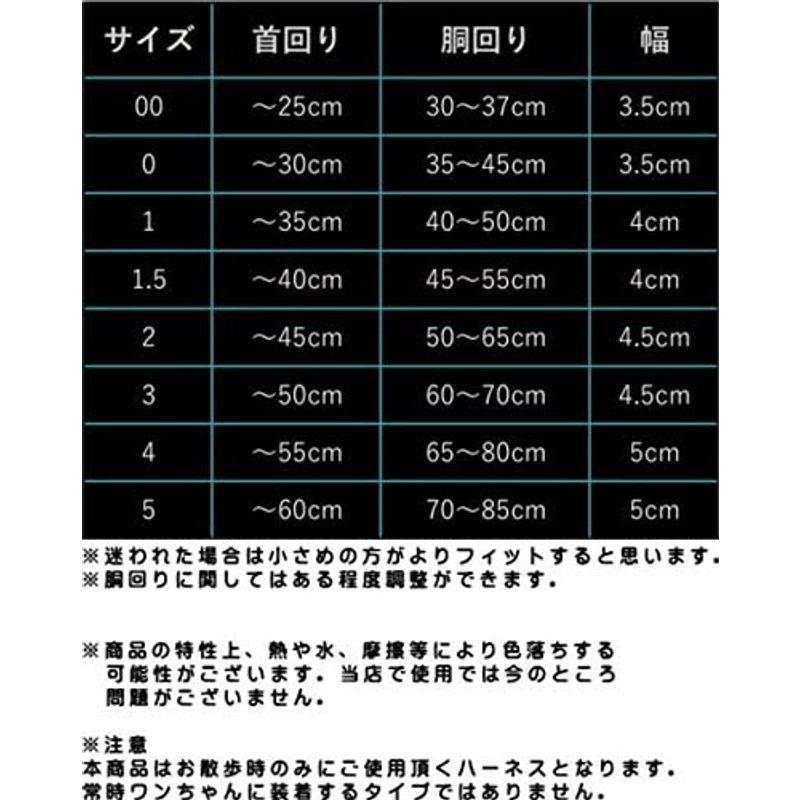 Hakusan(ハクサン) コンフォートジャストフィットハーネス・アルファ ブラック×ターコイズ 0サイズ｜lifeselect｜02