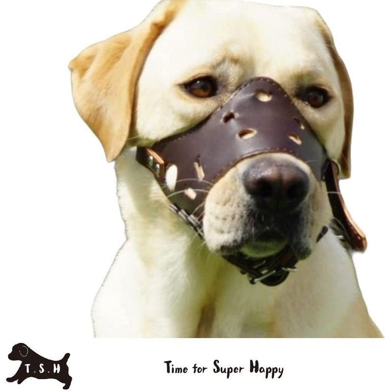 T S H 犬用マズル口輪 口輪 マズルカバー マズルガード 革製 小型犬 中型犬 大型犬 無駄吠え防止 噛みつき 拾い食い 傷舐め 保護 Lifeselect 通販 Yahoo ショッピング