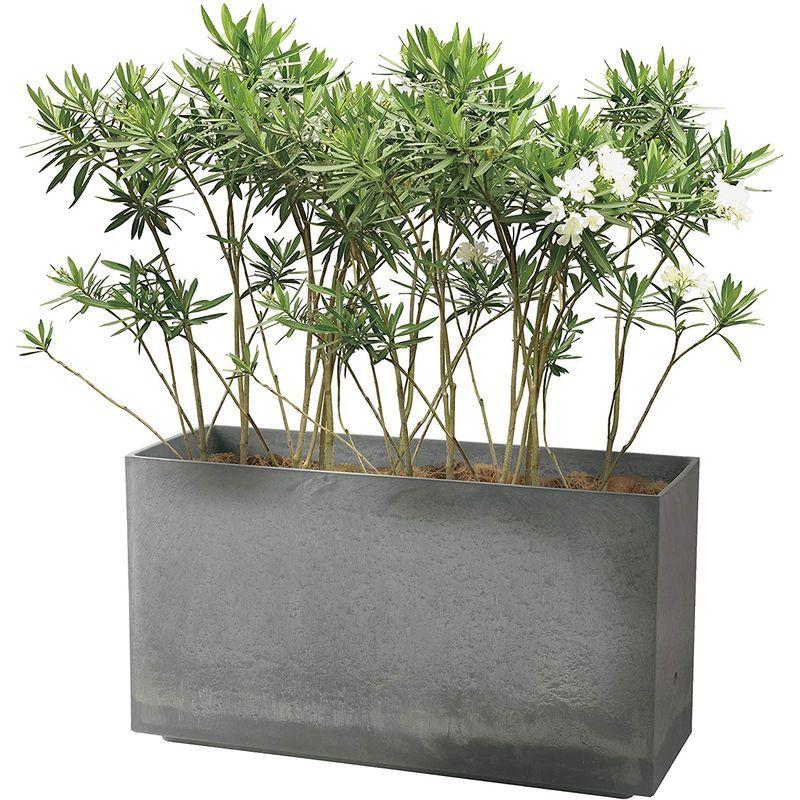 【訳あり・新品】 リッチェル 大型プランター 陶器風 ホワイト 80×29.5×45cm ラヴィーレWS レクタングル 80型 底面給水機能付き 709040 【KUE9144463855】(32581円)