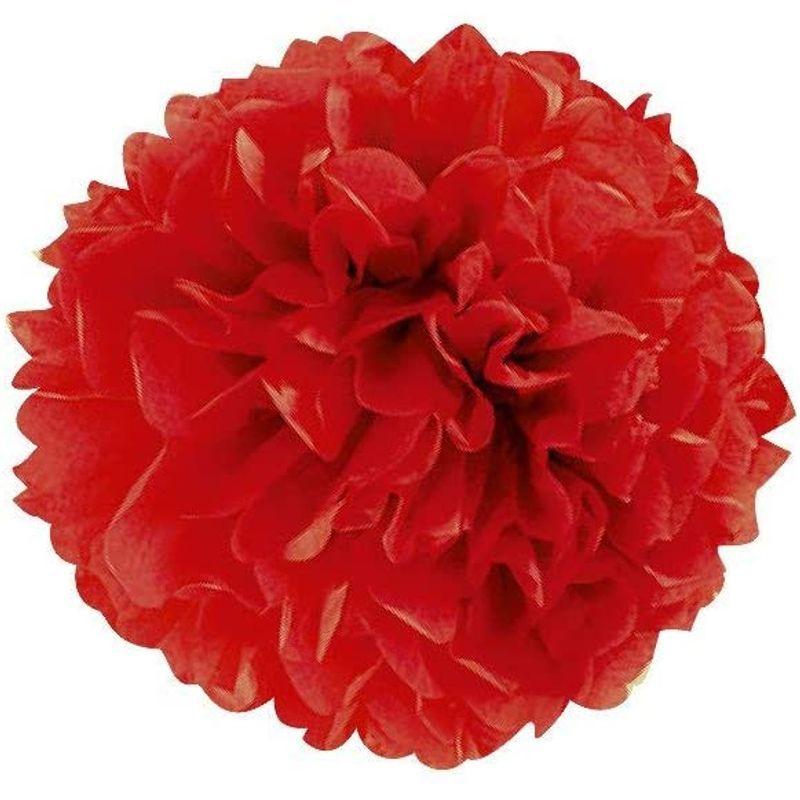 25【新品未使用】 合鹿製紙 お花紙 五色鶴 500枚 あか 60冊 No.14-60P 【ZYX9750950816】(34742円)