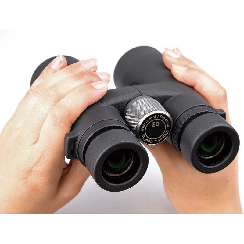 【公式】 Kenko 双眼鏡 Avantar 10×42 ED DH 10倍 42口径 ダハプリズム式 EDレンズ使用 アルミダイキャストボディ AV 【PET8182271187】(29153円)