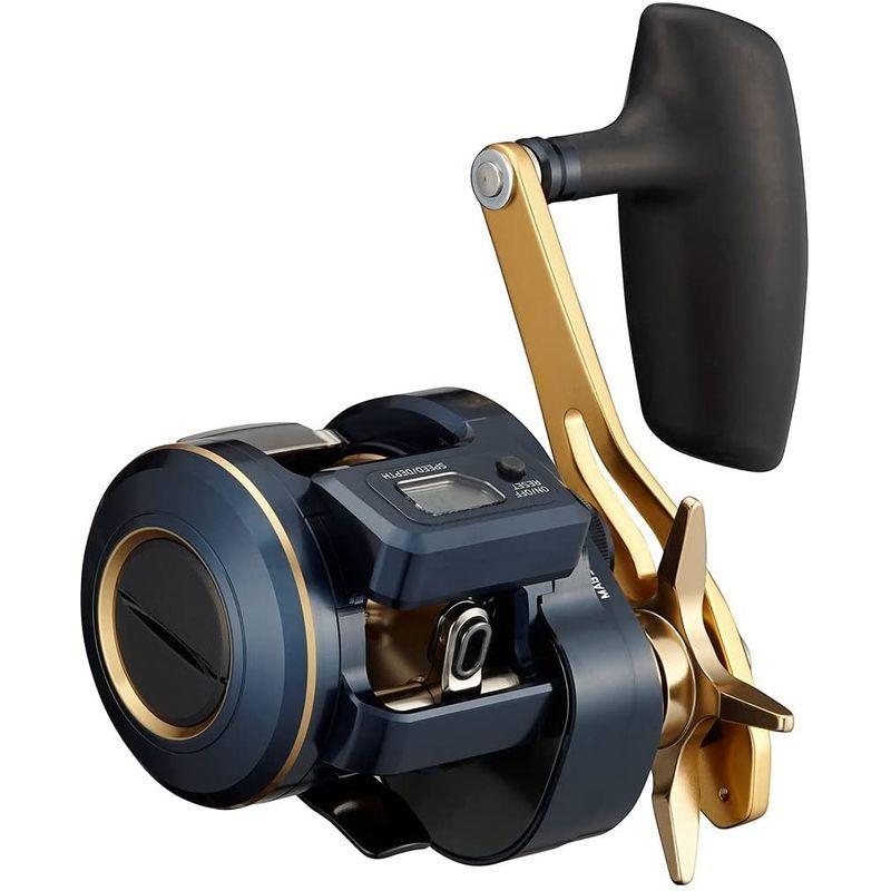 ダイワ(DAIWA) 21 ソルティガIC 300HL-SJ