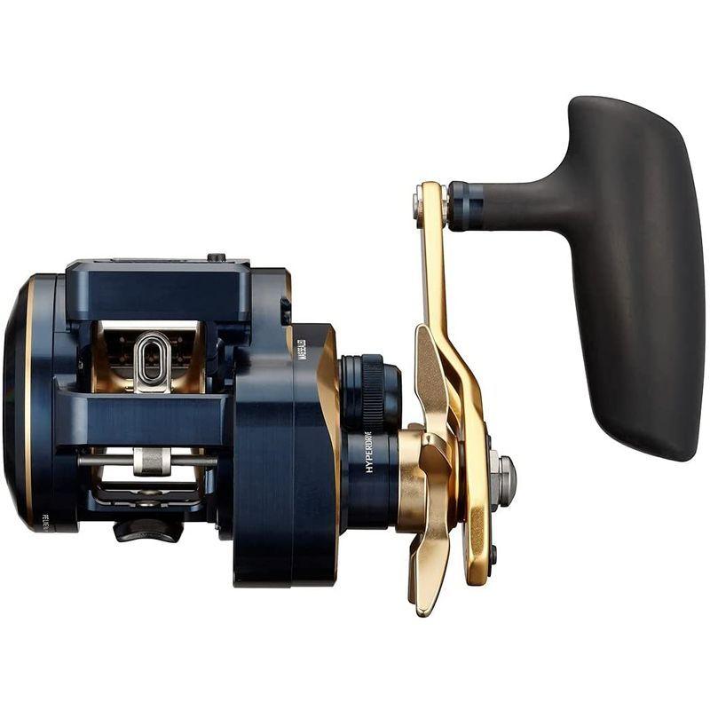 ダイワ(DAIWA) 21 ソルティガIC 300HL-SJ